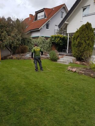 Hecke, Zaun, Rasen, Gartengestaltung